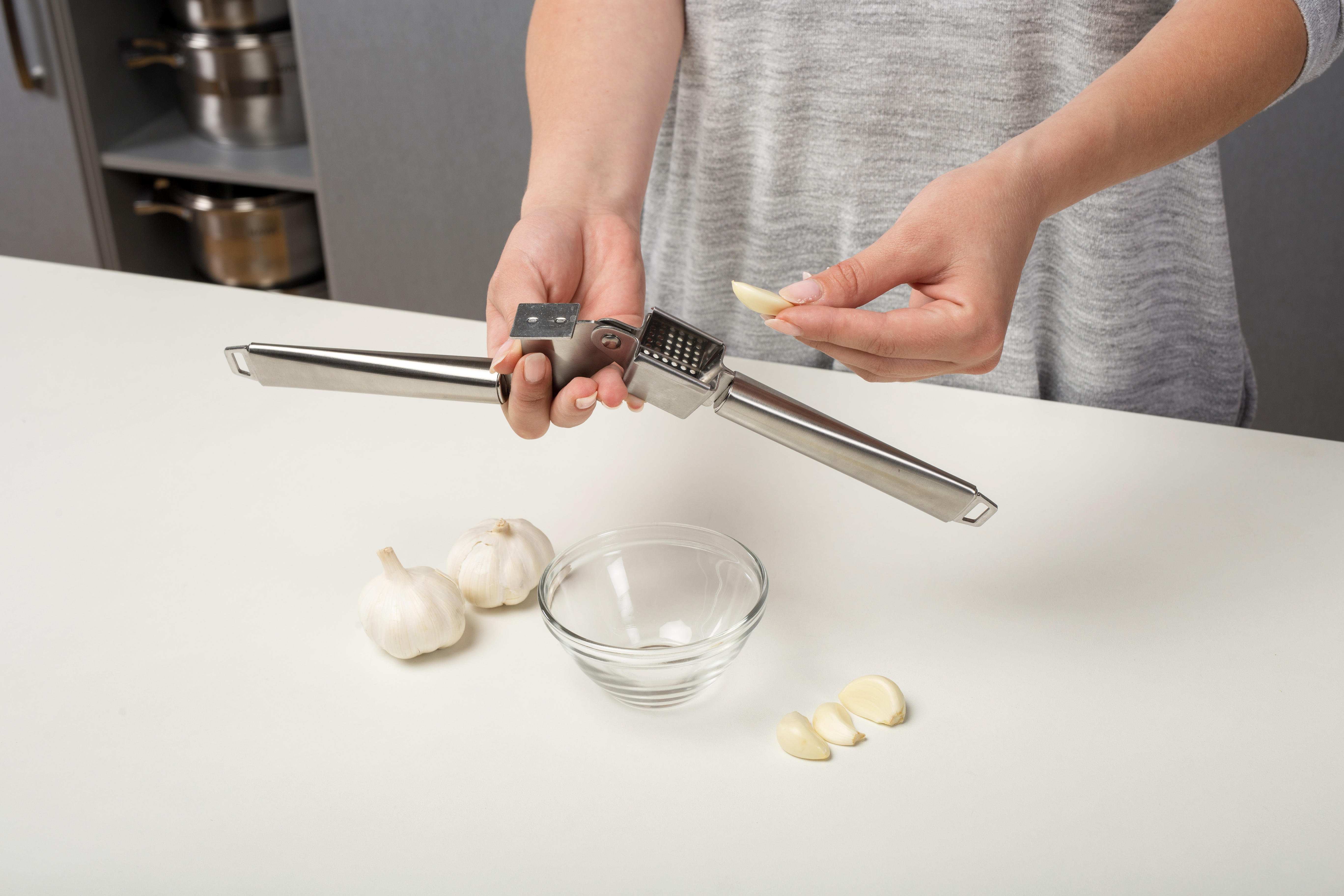 GARLIC PRESS definition and meaning